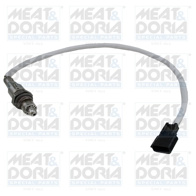 Oxygen Sensor